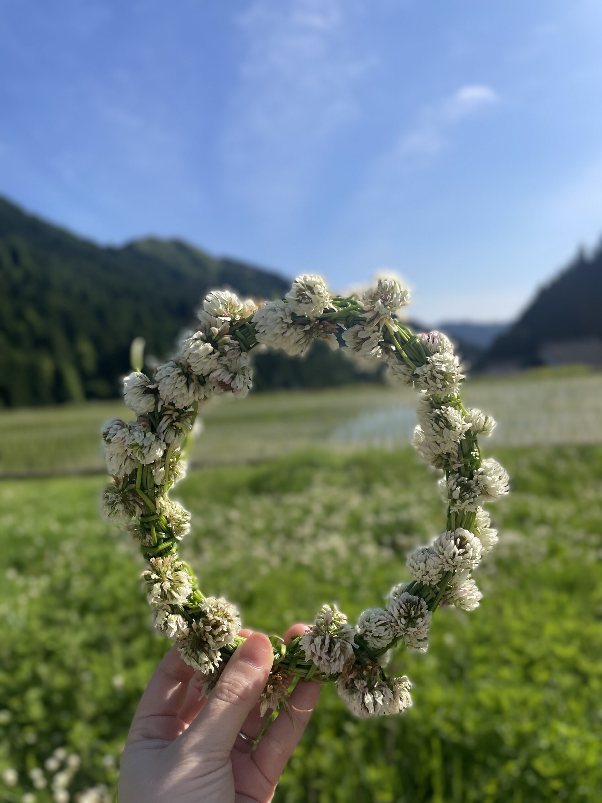 えさちゃんブログ 花の冠