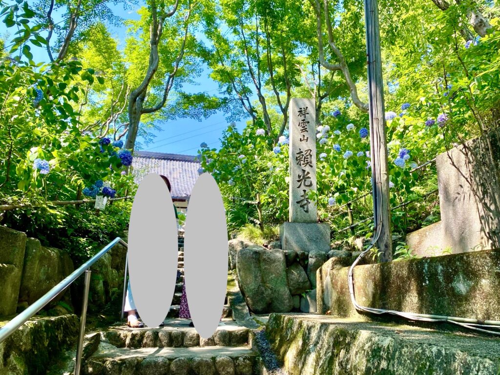 頼光寺の石段沿いに咲く紫陽花が美しい。